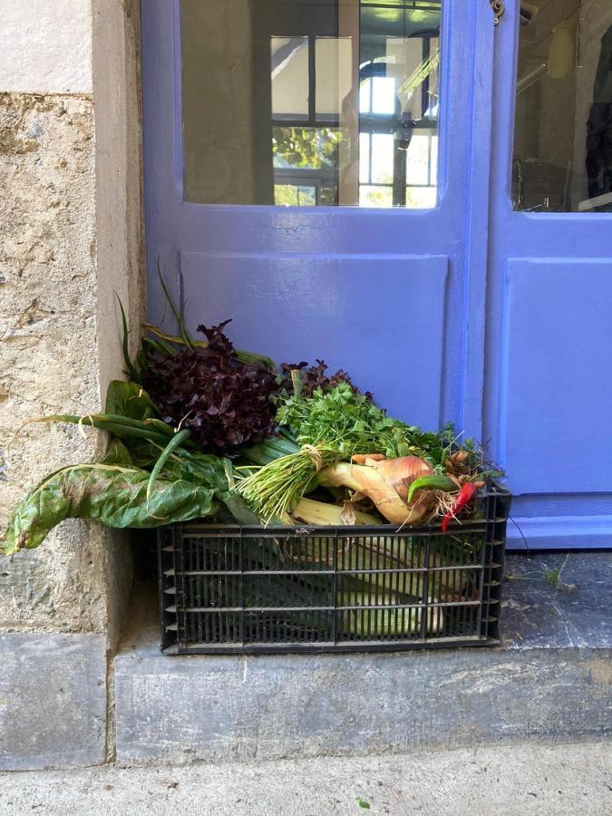 Petit Chateau Laborde Εξωτερικό φωτογραφία